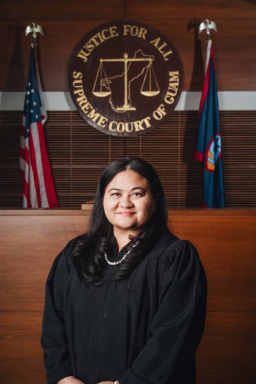 Honorable Elyze M. Iriarte